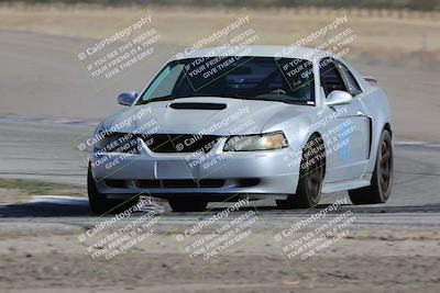 media/Oct-21-2023-Speed Ventures (Sat) [[ddf75163c5]]/Yellow/Grapevine/